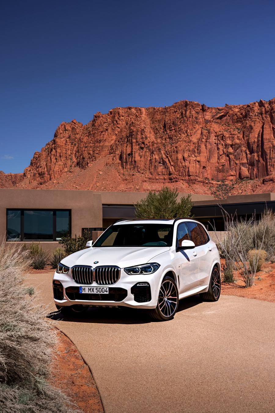  BMW X5 xDrive30d M Sport (G05) 2018 года  (WW) (фото 28 из 75)